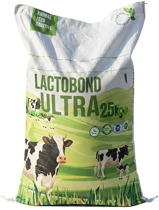 Lactobond Ultra