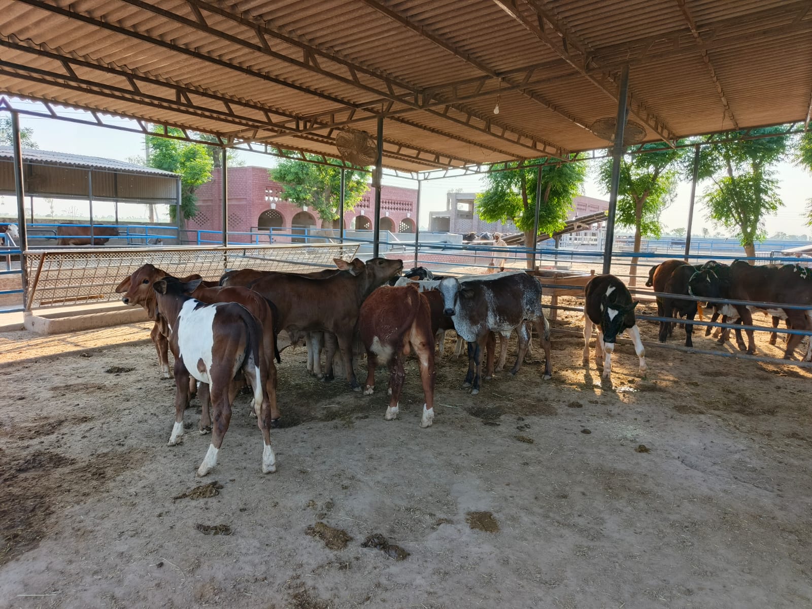 Farm Product